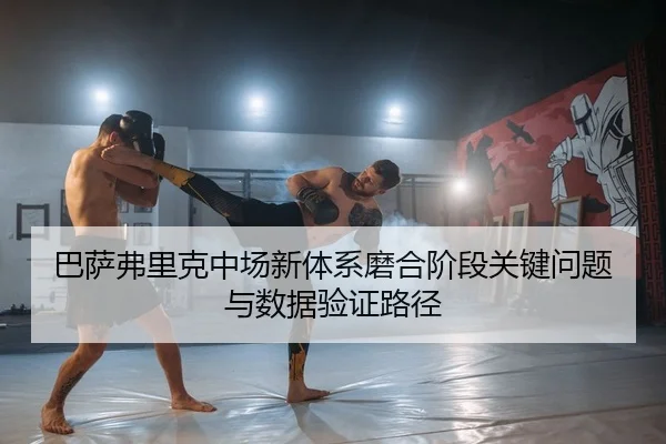 ba-sa-fu-li-ke-zhong-chang-xin-ti-xi-mo-he-jie-duan-guan-jian-wen-ti-yu-shu-ju-yan-zheng-lu-jing-2-348.jpg